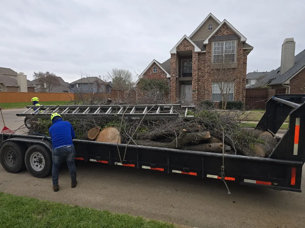 Expert Tree Fertilization with proper safety equipment in Rossiter